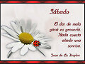 FELIZ SABADO