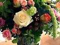 FLORES