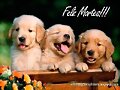 FELIZ MARTES