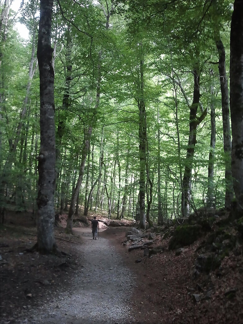 PIRINEOS