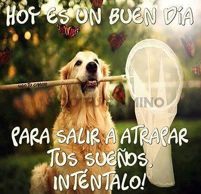 FELIZ DIA