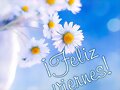 FELIZ VIERNES