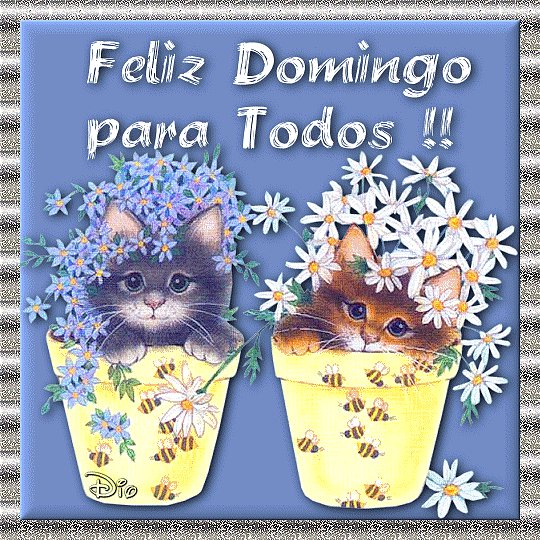 FELIZ DOMINGO