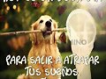 BUENOS DIAS