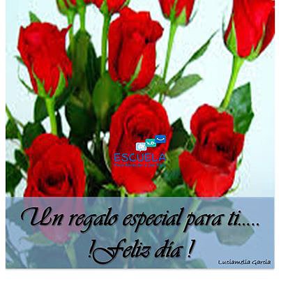 FLORES