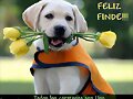 FELIZ FIN DE SEMANA