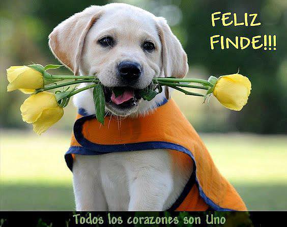 FELIZ FIN DE SEMANA