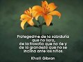 FRASES