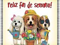 BUEN FINDE