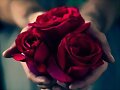 FLORES PARA TI