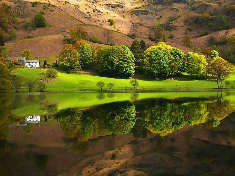 REFLEJO