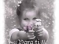 FLORES PARA TI