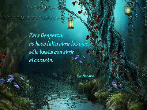 FRASE