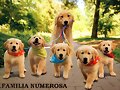 FAMILIAS NUMEROSAS