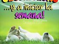 BUEN INICIO DE SEMANA
