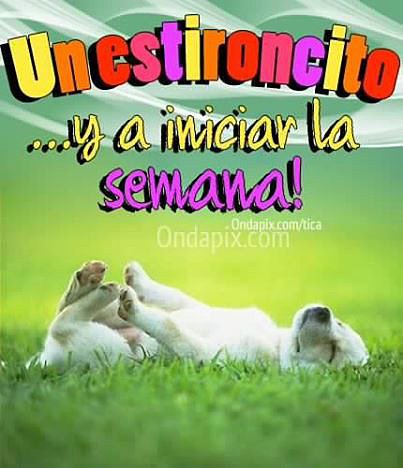 BUEN INICIO DE SEMANA