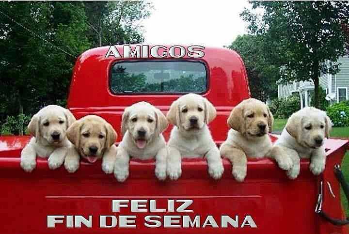 FELIZ FINDE