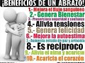 &iquest;SE NECESITAN ABRAZOS?