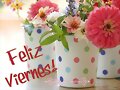 FELIZ VIERNES