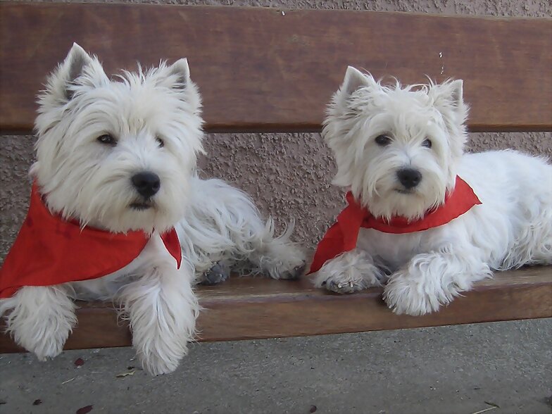ARGON Y ASHLY SAN FERMINEROS