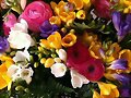 &iquest;HACE MUCHO QUE NO TE REGALAN FLORES?