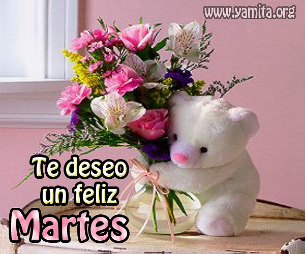 FELIZ MARTES