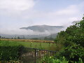 PRECIOSA TIERRA, NAVARRA