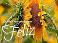 BUEN LUNES