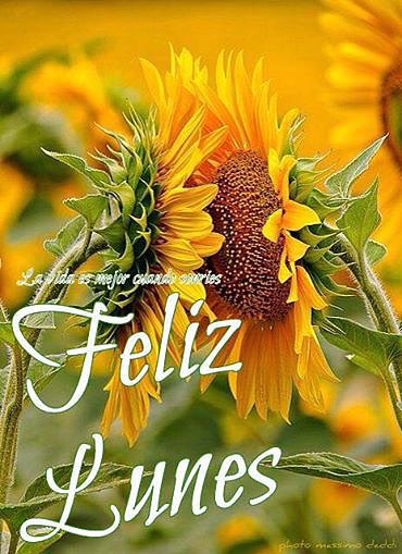 BUEN LUNES