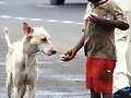 NI&Ntilde;OS DEL MUNDO