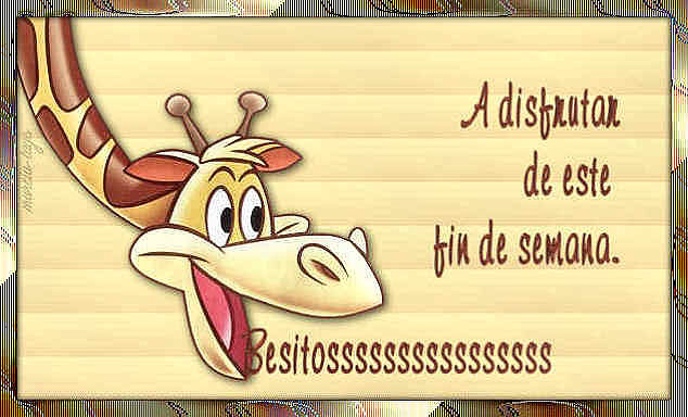 FELIZ FINDE
