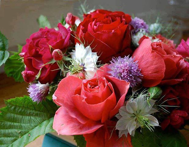 FLORES