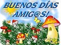 BUENOS DIAS