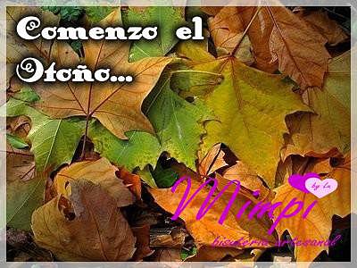 POR FIN COMENZO EL OTOÑO