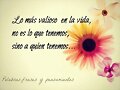 FRASE