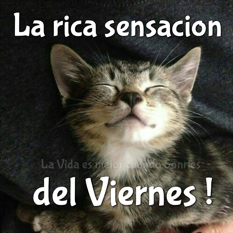 FELIZ VIERNES