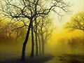 OTO&Ntilde;O (QUE AQUI NO LLEGA)