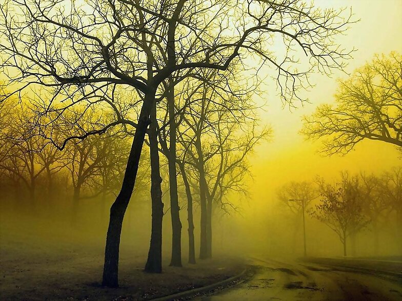 OTOÑO (QUE AQUI NO LLEGA)