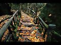 OTO&Ntilde;O