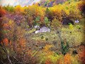 OTO&Ntilde;O (QUE AQU&Iacute; NO ACABA DE LLEGAR)