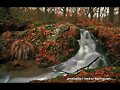 !!!POR FIN LLEGO AQUI EL OTO&Ntilde;O&iexcl;&iexcl;&iexcl;