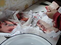 CHORIZOS, COSTILLAS Y MORRO DE CERDO IBERICO