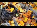 OTO&Ntilde;O