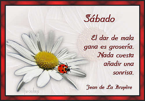 FELIZ SABADO