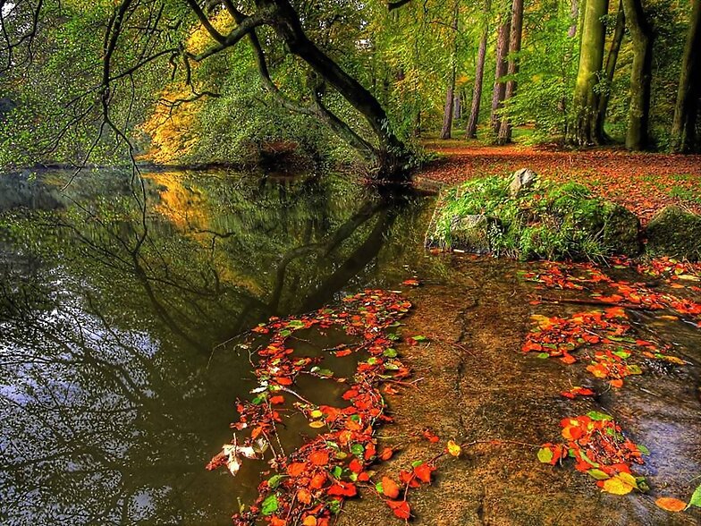 OTOÑO