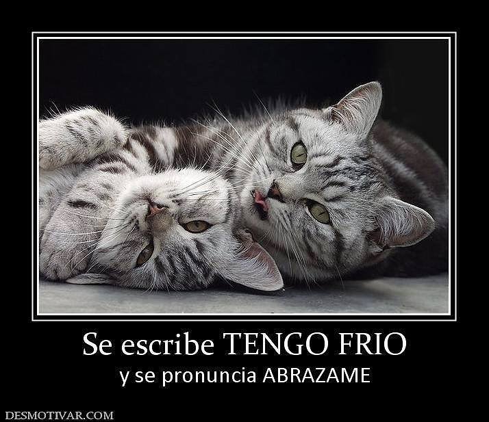 ABRAZOS