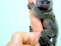 FOTOS CURIOSAS