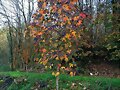 OTO&Ntilde;O