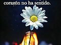 FRASE