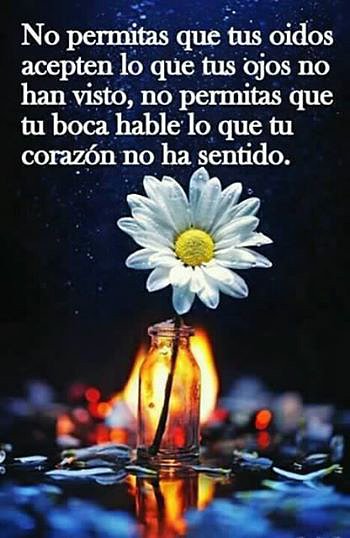 FRASE
